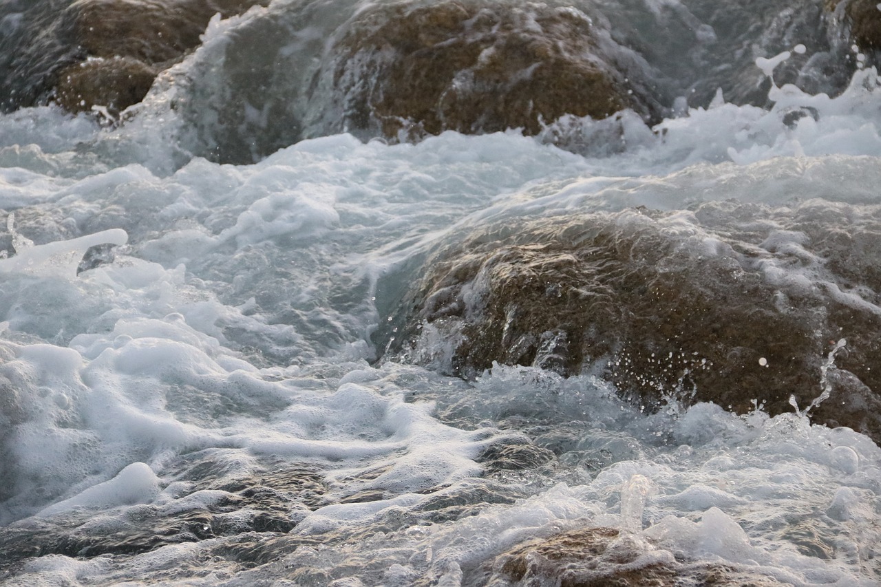 The Importance of Water Conservation